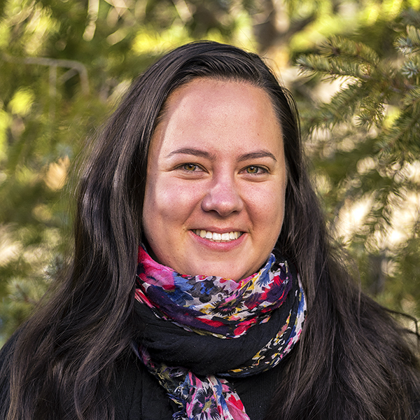 Singer Horse Capture Singer Horse Capture